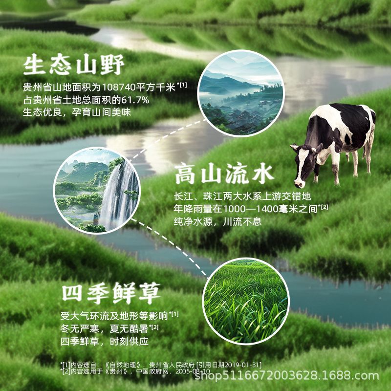 Adopt Guizhou Mountain Cow High Calcium Pure Milk Nutritional Breakfast Milk Children's Student Milk Whole Milk Whole Box Wholesale