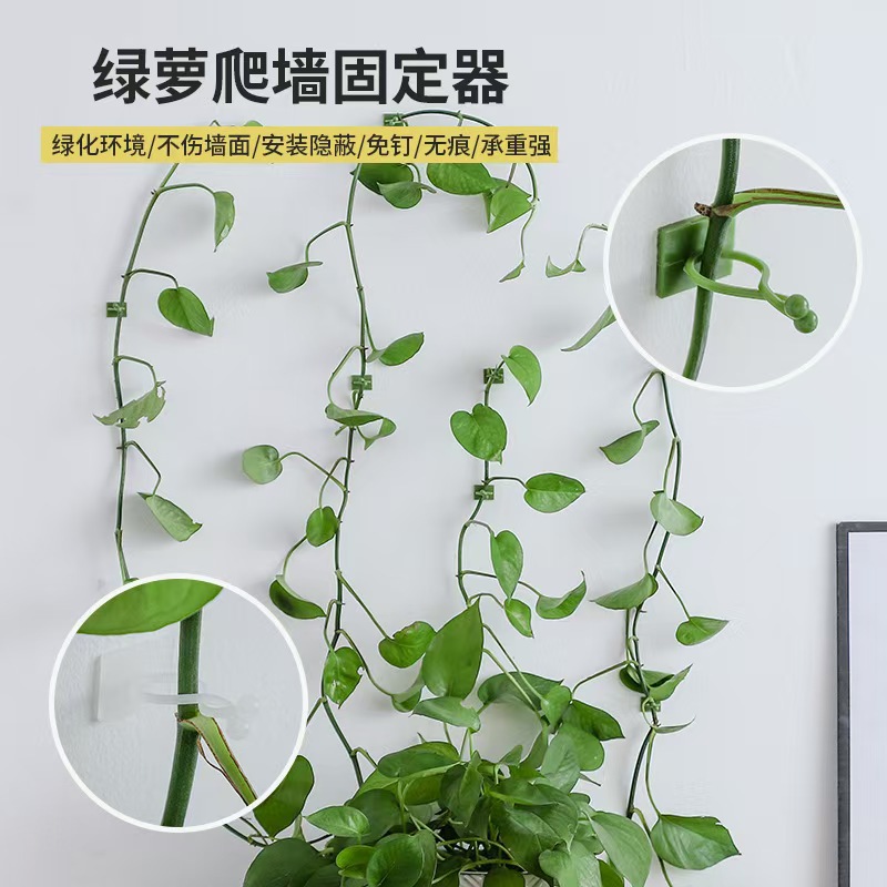Держатель для зеленых растений, без следов, без гвоздей, для вертикального озеленения, самоклеящийся крючок