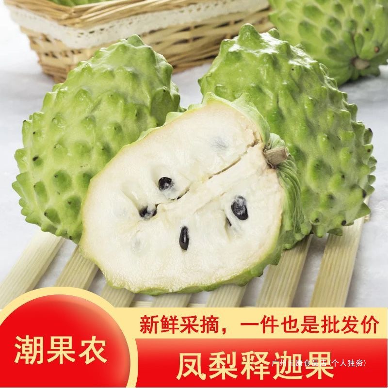 Sf Express Free Shipping Chaoshan Pineapple Sakyamuni Fruit Milk Soursop Fresh Fruit Sakyamuni Fruit Gift Box Large Fruit