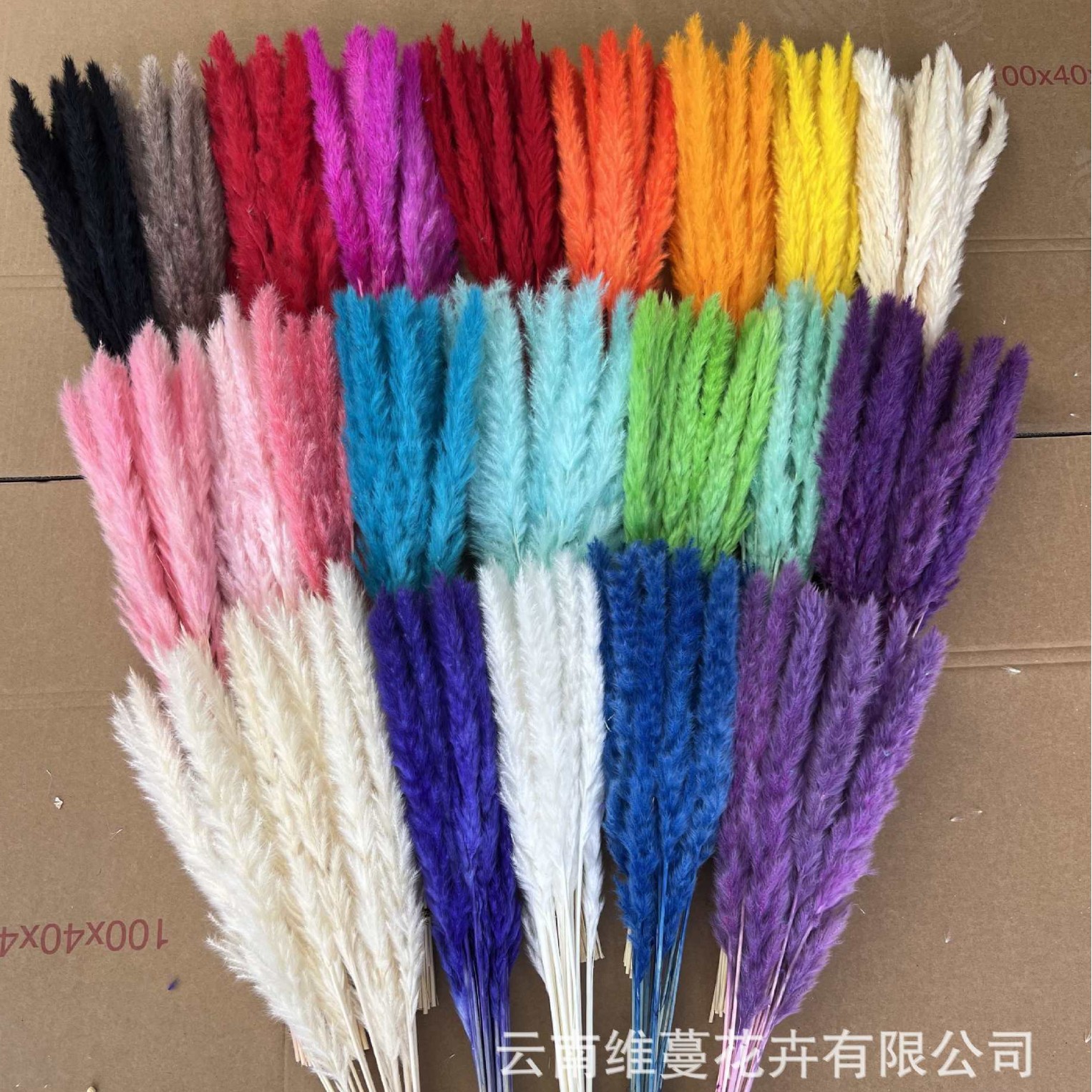 Маленький букет из сухих тростниковых цветов, ручная работа, домашнее украшение, прямая поставка с фабрики, оптовая продажа, эксклюзивное предложение