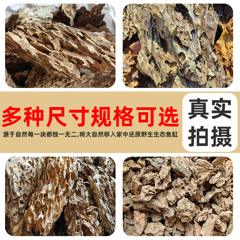 Natural Raw Stone Skeleton-Sized Combination Fish Tank Aquascape Micro-Landscape Natural Landscaping Finished Product Pine Bark Stone Colored Stone