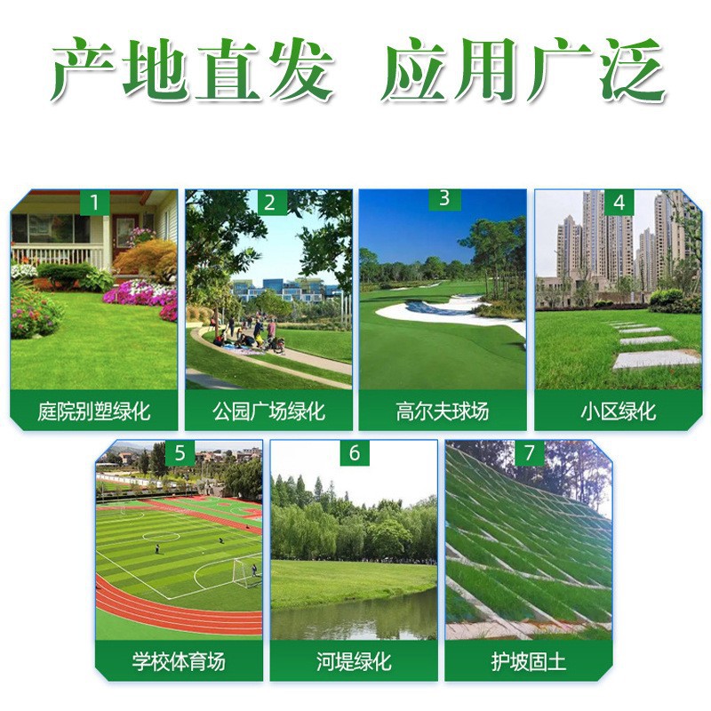 artificial lawn artificial green lawn mat football field enclosure kindergarten fake turf outdoor artificial lawn