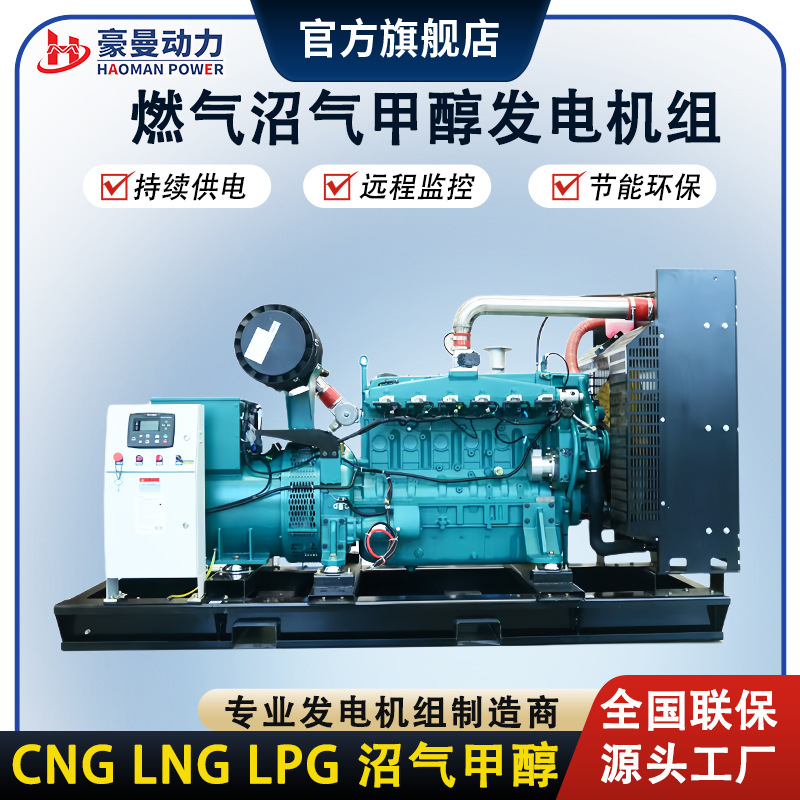 Natural Gas Generator Set 150Kw Methanol Generator 120Kw Biogas Generator Set for Pig Farm