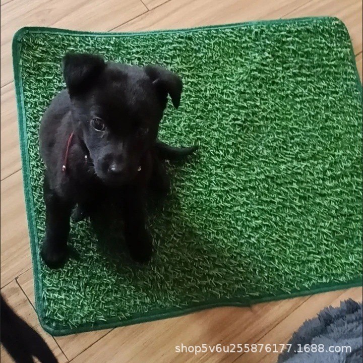 Cross-Border Supply Dog ​​Urination Turf Training Mat Multi-Functional Cat and Dog Lawn Urine Pad Pet Supplies Urine Pad