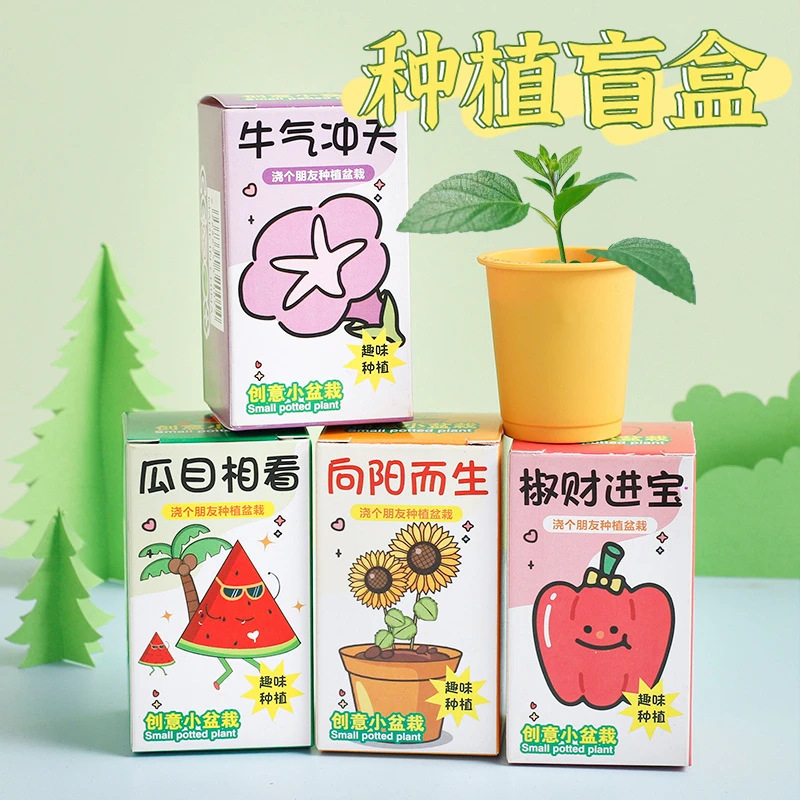 Мультяшная коробка для посадки, горшечное растение, офисный цветок, семена цветка, наблюдение за ростом растений, подарок для DIY эксперимента