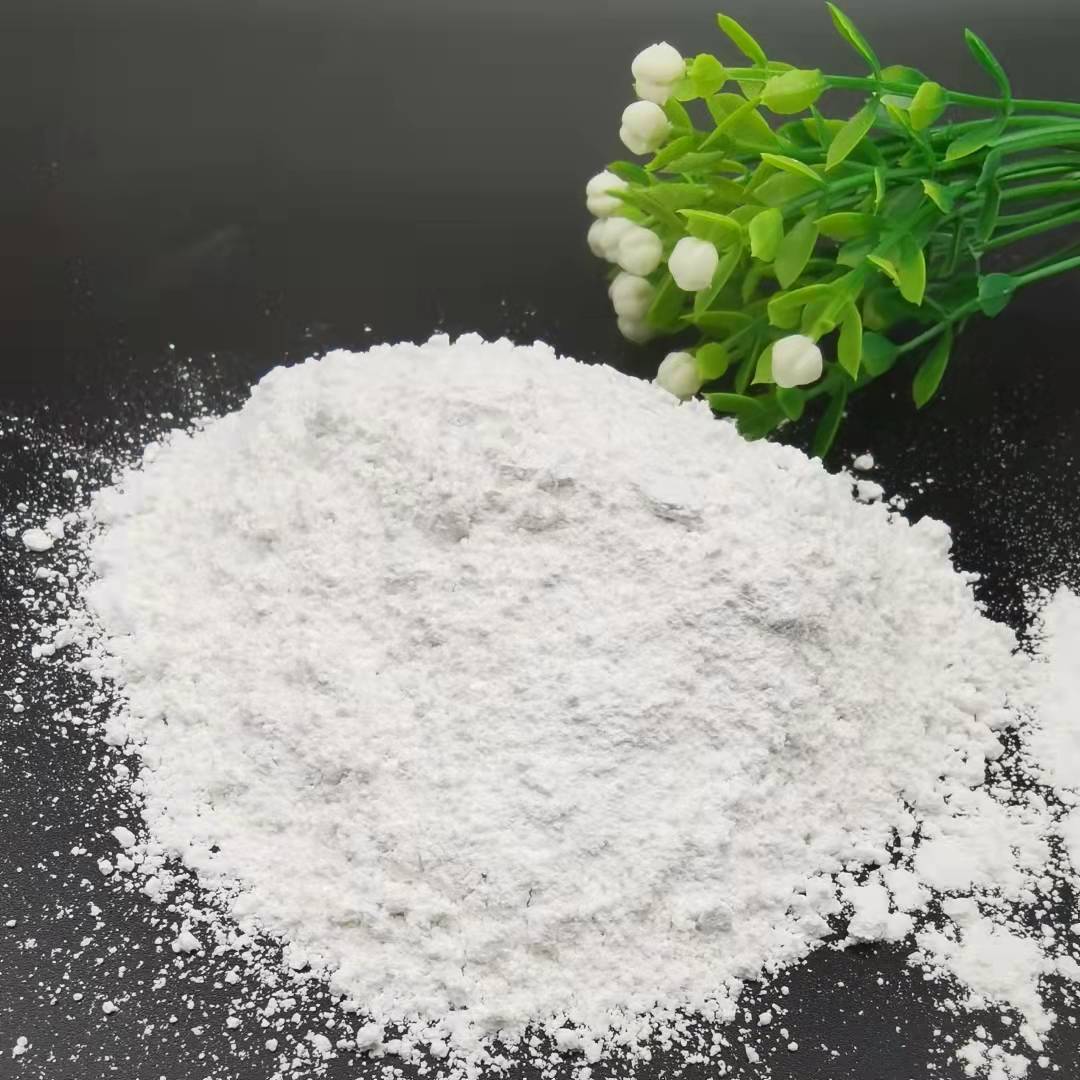 Diatomaceous Earth for Water Treatment and Filtration, Diatomaceous Earth Adsorption Coating, Filter Aid, Diatomaceous Earth Powder for Humidity Regulation and Improvement
