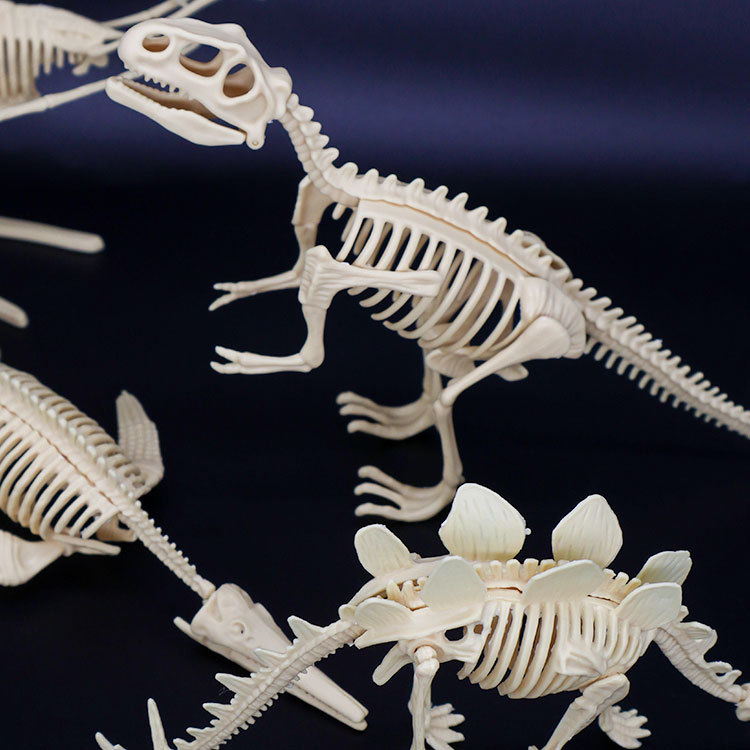 Archaeological Excavation Toys Simulation Skeleton Dinosaur Static Model Ornaments Children's Handmade DIY Educational Toys Treasure