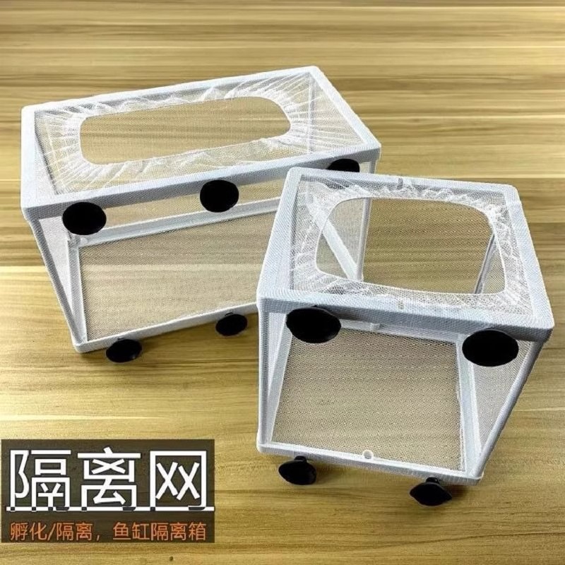Изоляционная сеть для аквариума, инкубатор для бетта, защитная коробка для мелкой рыбы