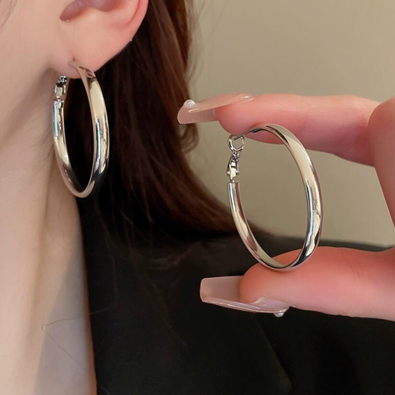 French-Style Metal Hoop Earrings 2025 New Model for Women, Trending on Tiktok, Unique and Elegant Earrings Wholesale