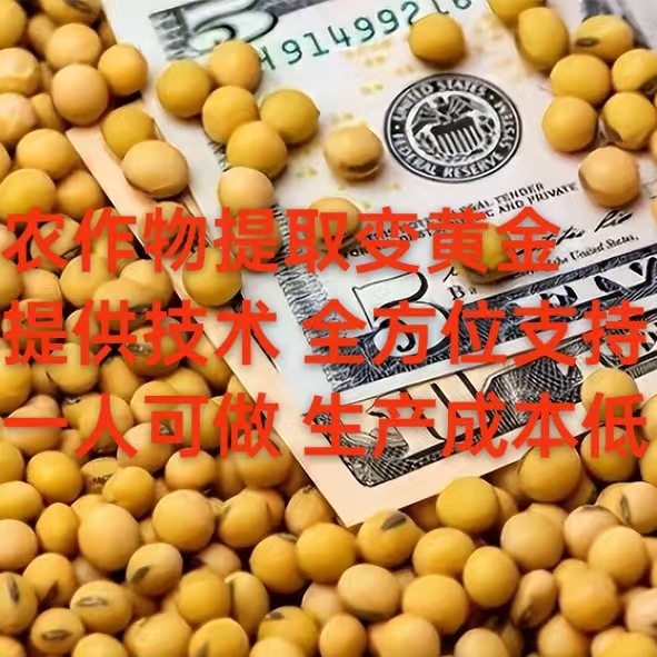 Outsourcing Processing: a Project That an Individual Can Undertake to Convert Agricultural Products into Gold, Specifically Corn Extraction of Plant Protein Peptides