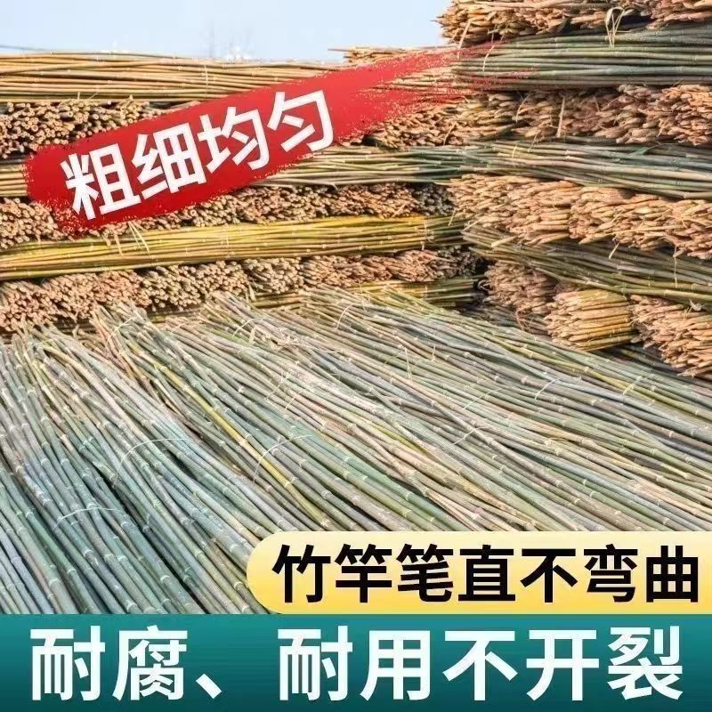 Bamboo Pole Vegetable Garden Trellis Bean Trellis Cucumber Trellis Climbing Trellis Flagpole Bamboo Pole Bamboo Climbing Support Small Bamboo Pole Wholesale