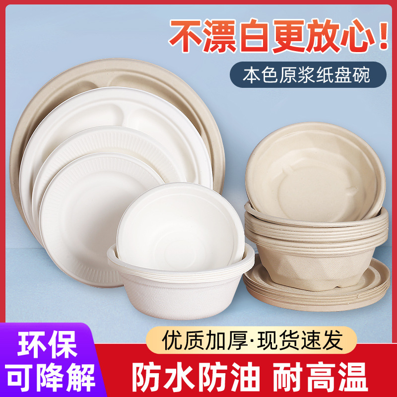 Одноразовая бумажная тарелка, ручная работа, 6-10 дюймов, из сахарного тростника, для рисования