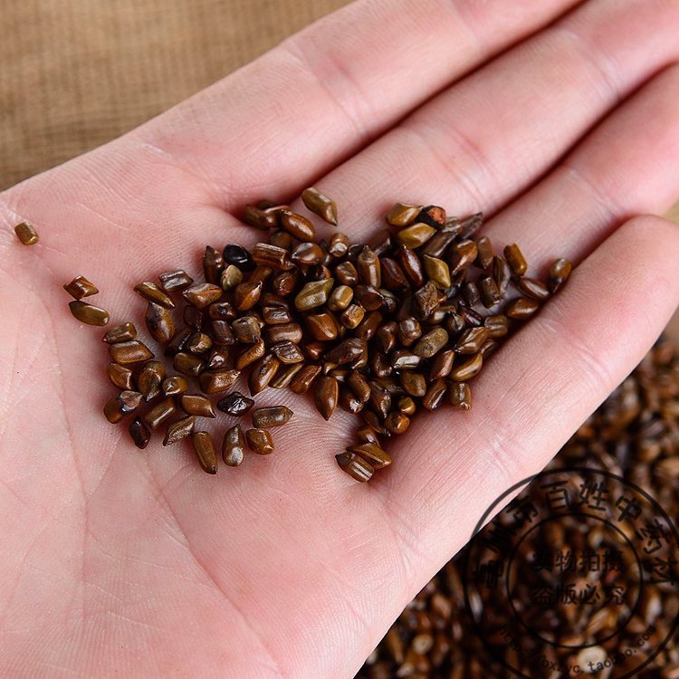 Premium Ningxia Cassia Seed Tea, Roasted Loose Tea with Chrysanthemum, Goji Berry, and Honeysuckle Combination Tea, Baozhou Flower Tea Substitute