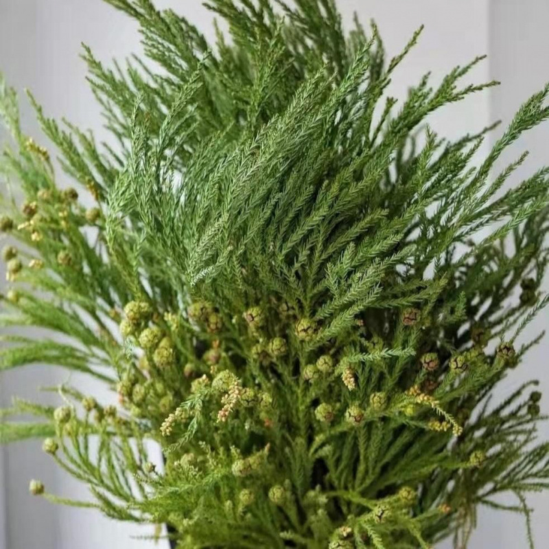 Japanese Girl Christmas Tree Materials Fresh Internet Celebrity Japanese Girl Natural Pine and Cypress Decorative Christmas Materials