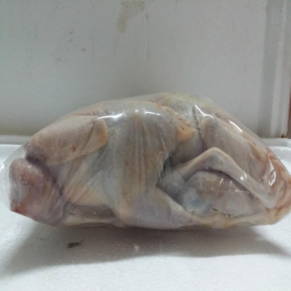 Fresh Poultry Quail 90 Days Gutted 200-300g Ready to Kill and Ship Cold Chain Frozen Meat Fresh Meat