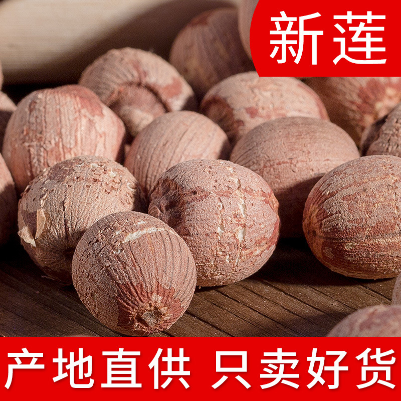 Large Cored Red Lotus Seeds Cored Red Lotus Seeds 500g Diameter 12.5mm Wholesale Sulfur-Free Xiangtan Lotus Seeds Dry Goods