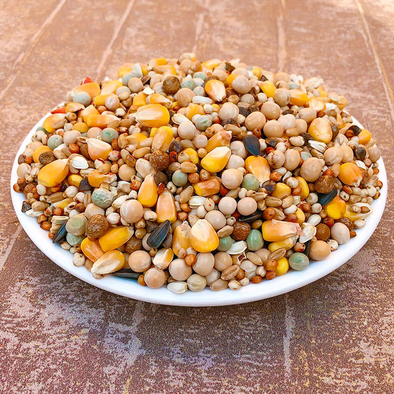 25кг корма для голубей с кукурузой, корм для молодых голубей, корм для птиц, корм для декоративных голубей, корм для мясных голубей, корм для гоночных голубей