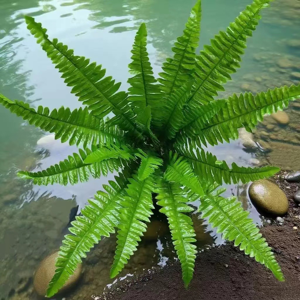 Simulated Plant Accessories Green Plant Simulated Persian Leaf Fern Imitation Grass Wall Hanging Indoor Green Background Wall Decoration