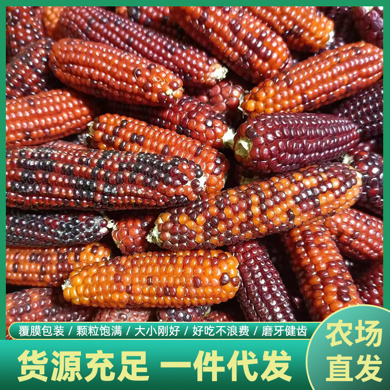 Популярные мини-палочки для молярных хомяков из кукурузы, кукурузные медвежата, для кроликов и чинилл