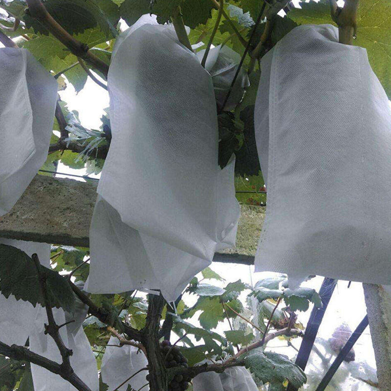 Non-woven Fruit Bagging Grape Bag Bird-proof Insect-proof Waterproof Special Tie-silk Fruit Bag Seedling Bagging in stock