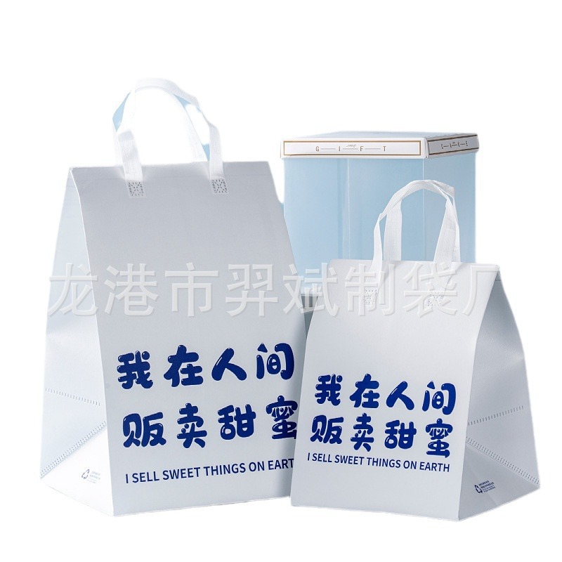 Disposable cake insulation bag portable takeaway special lunch box aluminum foil bento oversized commercial refrigerator bag wholesale
