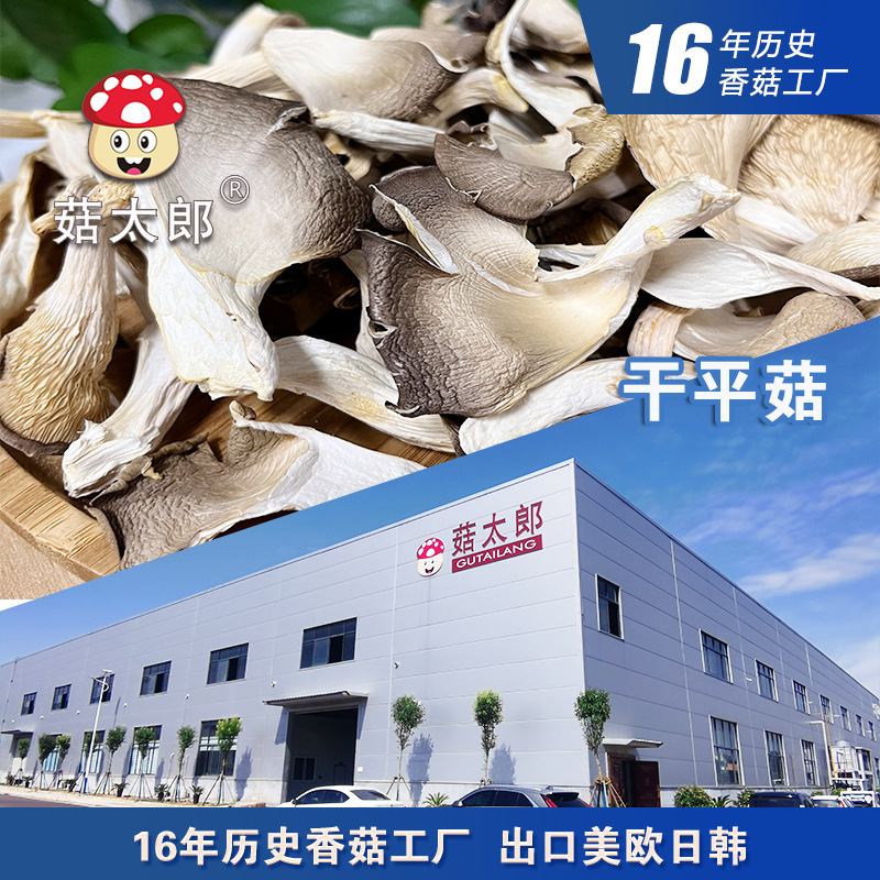 Oyster Mushrooms, Phoenix Tail Mushrooms, Abalone Mushrooms, Mushroom Slices, Oyster Mushroom Strips, Oyster Mushroom Shreds, Export Business Inspection, Export Base Registration