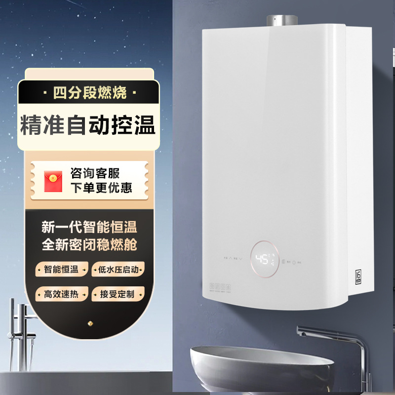Wholesale Strong Exhaust Type Constant Temperature 16L Gas Water Heater Household Natural Gas Factory National Standard Engineering Customization