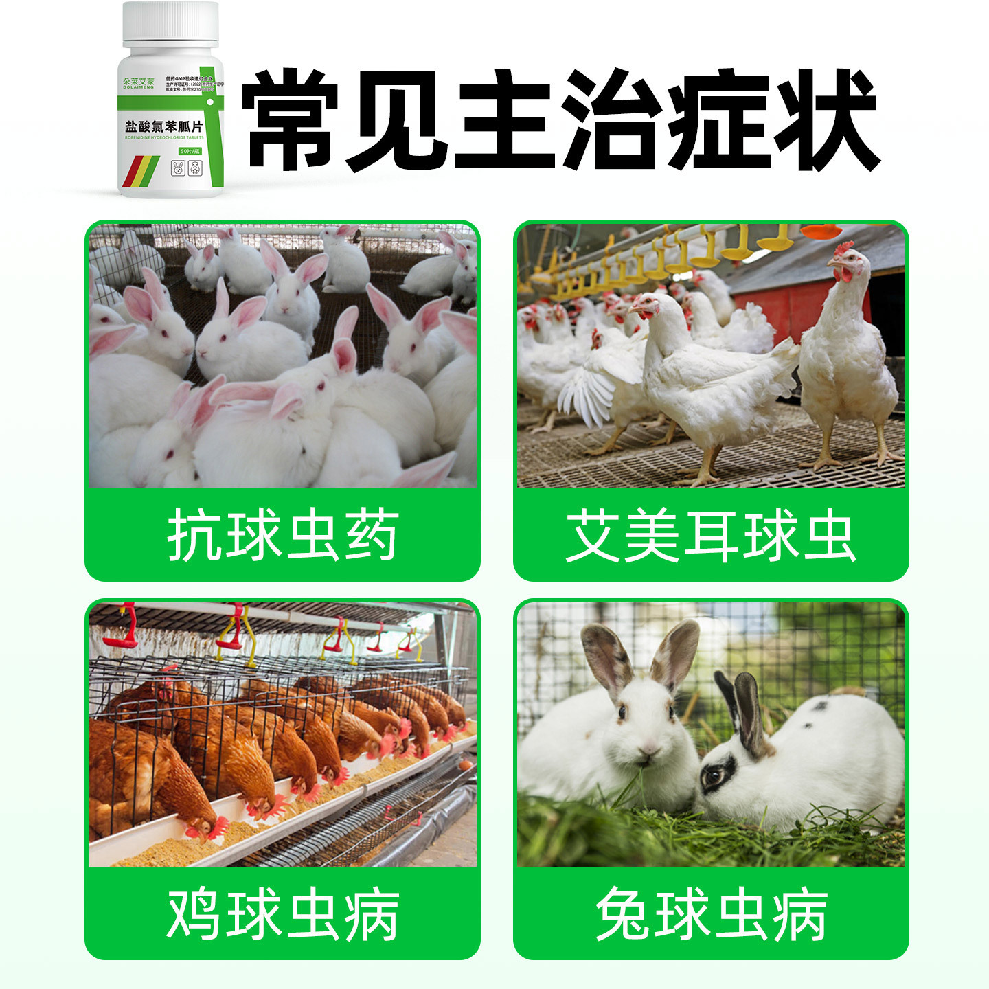 Rabbit-Specific Coccidiosis Deworming Medicine, Veterinary Chlorpheniramine Hydrochloride Tablets, Chicken and Young Rabbit Coccidiosis Prevention Medicine