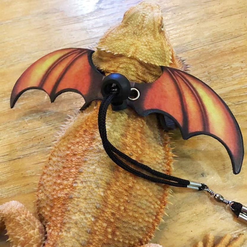 Lizard Traction Rope Climbing Pet Out Traction Rope Walking Lizard Rope Small Pet Traction Rope Festival Wings Traction Rope