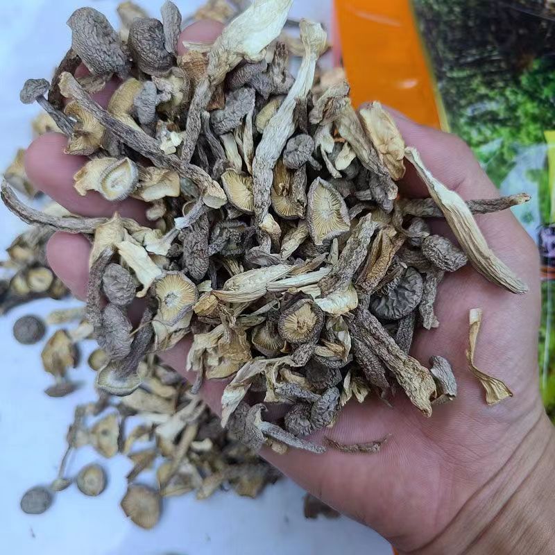 [net weight] pilose antler mushroom dry goods without desiccant pilose antler mushroom shredded crisp mushroom dumplings stuffing pilose antler mushroom shredded