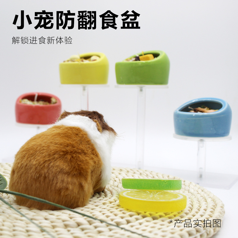 Hamster Food Basin Golden Bear Parrot Squirrel Hedgehog Anti-tip Anti-splash Bowl Feed Box Pet Supplies