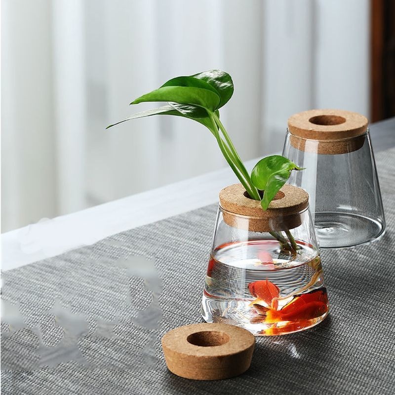 Wholesale Micro Landscape Bottle Office Desktop Plant Ecological Bottle Fish Tank Vessel High Borosilicate Hydroponic Glass Vase