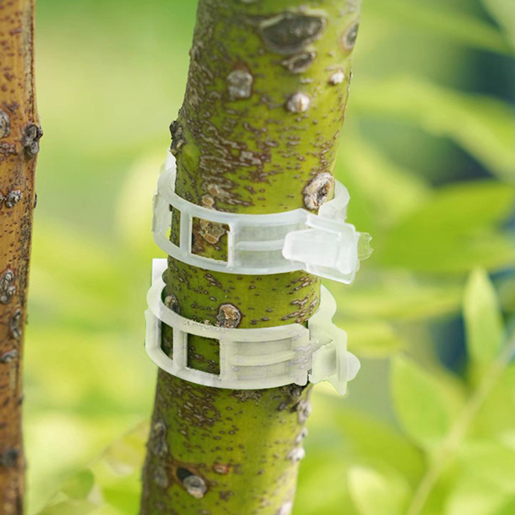 Plant Clips, Vine Clips, Plastic Vine Clips, Branch Clips, Vine Clips, Vine Support Clips, Vine Fixing Clips Wholesale