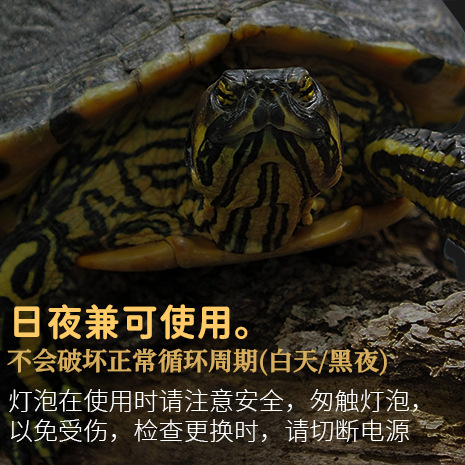 Pet Far Infrared Ceramic Reptile Lamp Ceramic Heating Lamp Reptile Pet Lamp Reptile Heating Lamp Sauna Steaming Heating Lamp