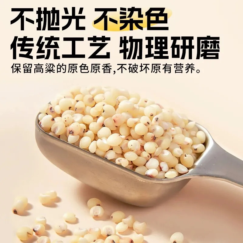 Northeastern Farm Sorghum Rice White Sorghum Rice Sorghum Kernels Shelled Whole Grains