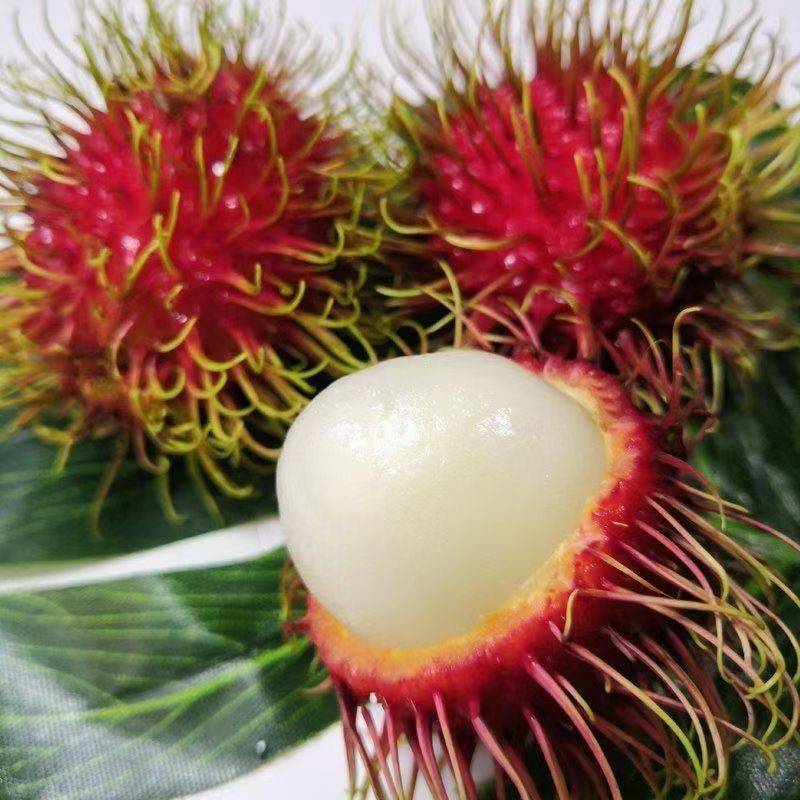 Freshly Picked and Shipped Hainan Baoting No. 7 Rambutan, Fresh Tropical Fruit for Pregnant Women, Gift Box with Free Shipping