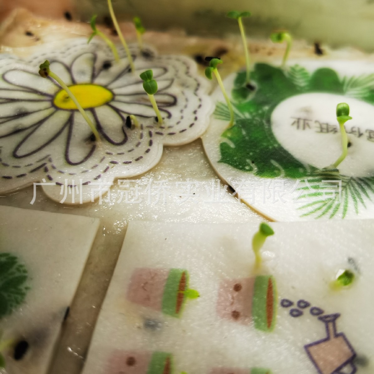 Biodegradable Germination paper seed paper Red Envelope seed paper Name Card Tag paper Card