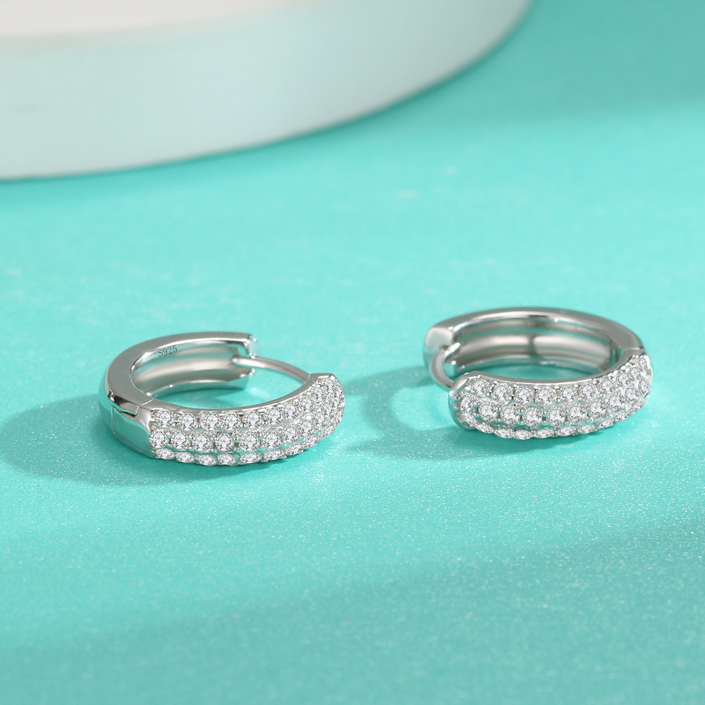 2024 Cross-Border Popular Earrings for Women, Gold, Silver, Diamond-Encrusted, High-End, Niche, European and American Style Earrings Wholesale