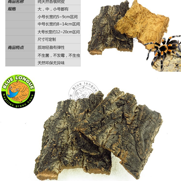 Champagne Bark Acrylic Reptile Feeding Box Feeding Box Landscape Lizard Pet Fire Rose Spider Escape Climbing