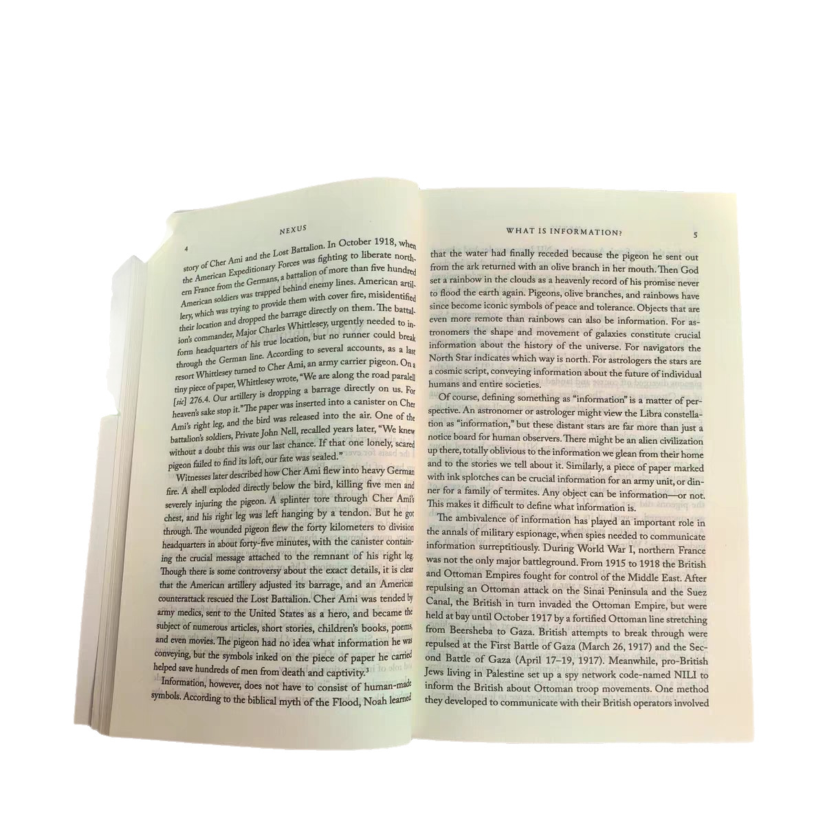 Beyond Homo Sapiens English Version Nexus a Brief History of the Information Network from the Stone Age to the Ai Era Youwa