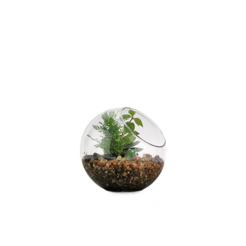 Factory wholesale micro landscape ecological bottle transparent moss hanging hanging bottle hand blown glass succulent vase