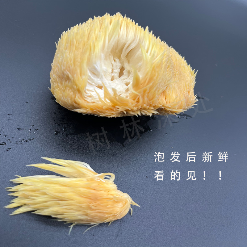 [Own factory] Gutian monkey head mushroom 500g fresh dry goods bulk monkey mushroom large wholesale edible fungus wholesale
