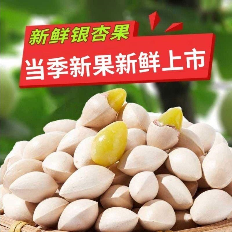 2025 Raw Ginkgo Biloba Fresh Special Shelled Large Fruit Seasonal Ginkgo Biloba Non-Bleached Edible Dried Fruit