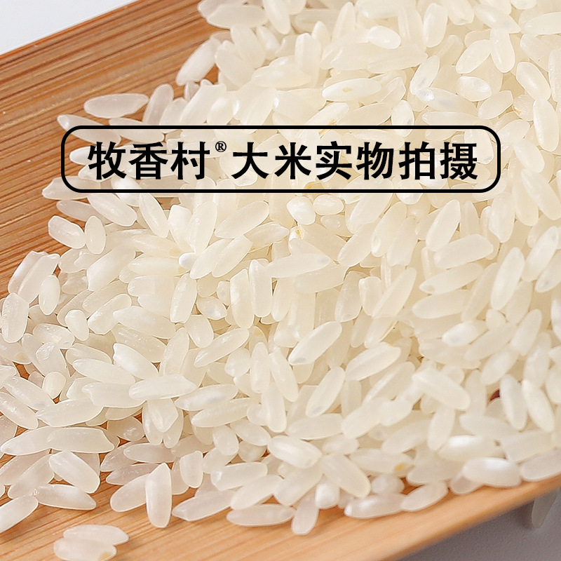 Northeast Rice Wuchang Rice 5kg One Bag of Freshly Ground New Rice 10kg Wholesale and Retail Gb/T19266 Origin