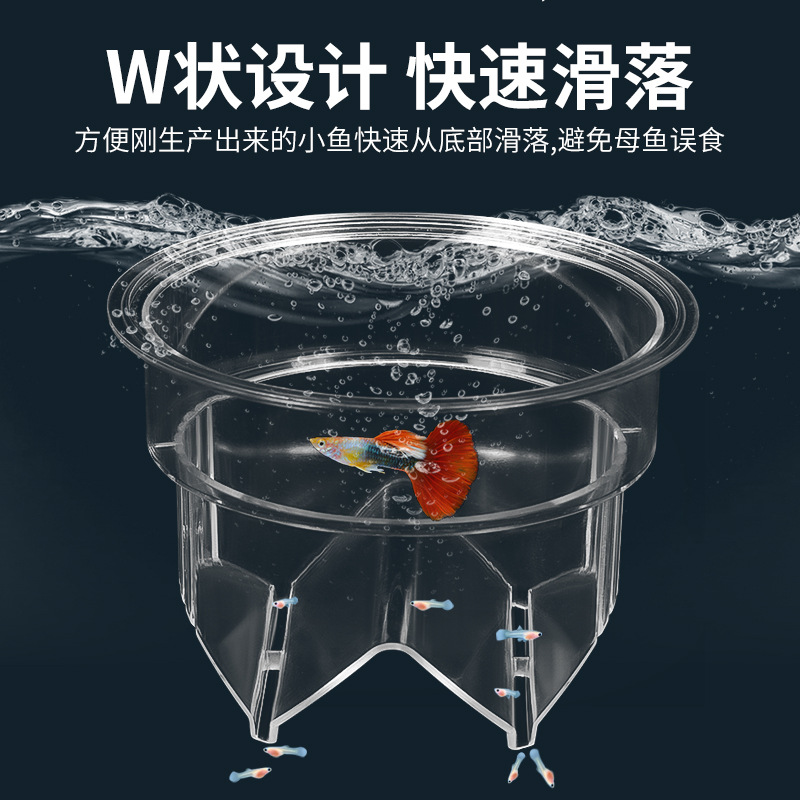 Fish Tank Peacock Fish Incubator Breeding Box Acrylic Isolation Box Tropical Fish Hatching Ovipositor Fish Fry Isolation Box