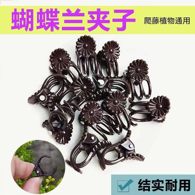 Зажим для орхидей фаленопсис, зажим для прививки, зажим для поддержки растений, зажим для рассады