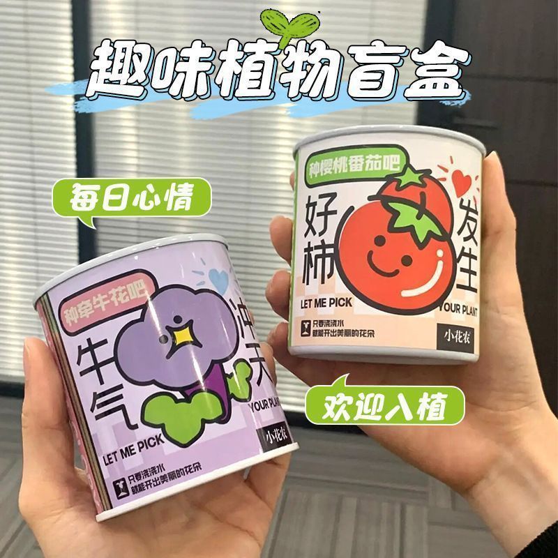 Office Green Plant Small Potted Magic Plant Indoor Mini Desktop Children's Canned Emotional Stability Blind Box