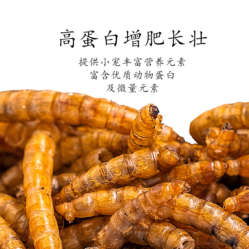 Hamster Mealworm Starling Mealworm Koi Snack Mealworm Dried Finch Parrot Cockatiel Budgerigar Bird Food Feed