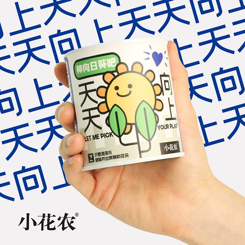 Kindergarten Children Planting Small Potted Plants Students Mini Fruit Small Potted Plants Blind Box Office Indoor Desktop Green Plants