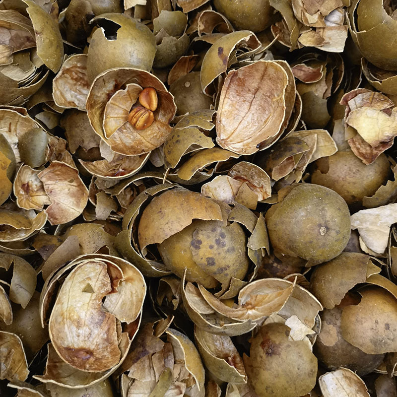 Гуйлинь, Гуанси, жареная кожура плодов Ло Хан с сладостью, фармацевтический класс, лечебный и съедобный, 25 кг мешки натуральных сушеных фруктов